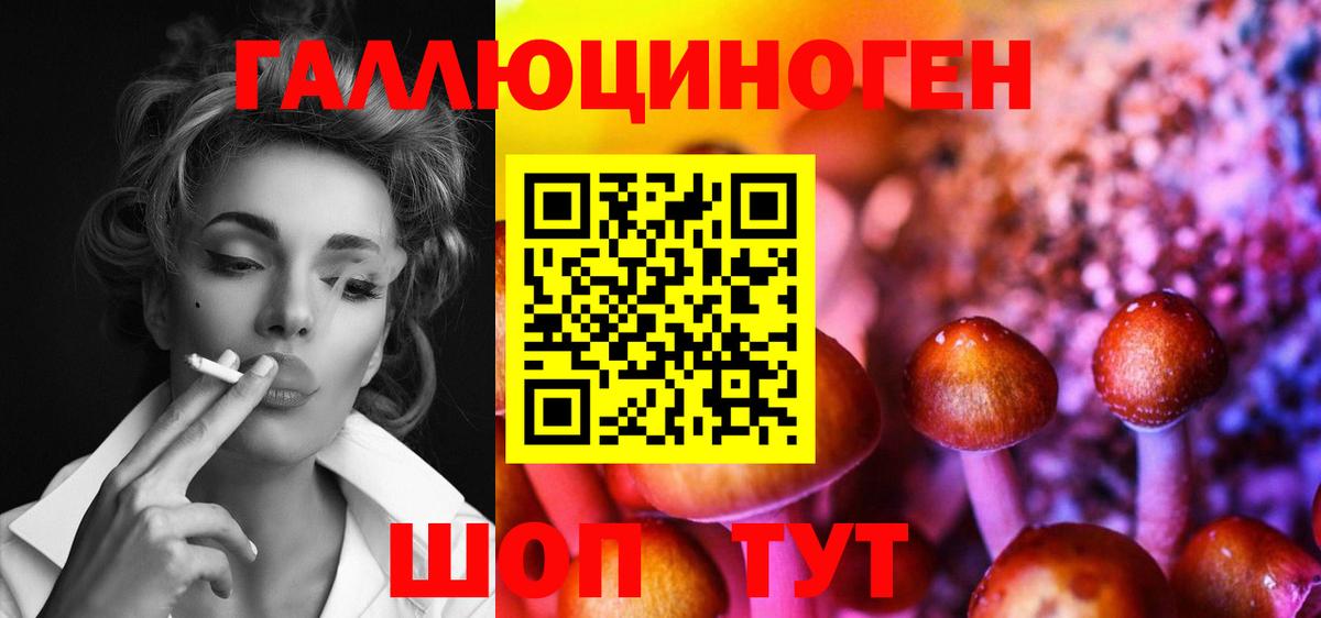 как найти закладки  Вход с VPN  Серпухов  Псилоцибиновые грибы Psilocybine cubensis 